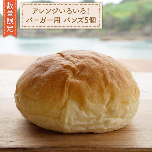 バーガー用バンズ 5個 [CEP030] 冷凍パン