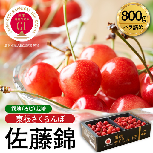2027年産 GI 東根 さくらんぼ 佐藤錦 800g JA さくらんぼ