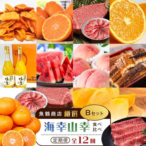 【魚鶴商店厳選！】人気の海幸山幸食べ比べ【定期便全12回】セットB【UT110】