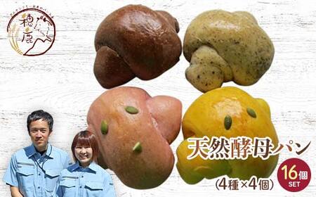 国産小麦使用 いろどり自家製天然酵母パン16個セット F21T-140