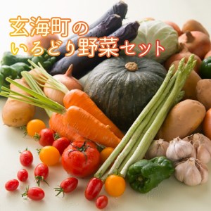 いろどり野菜セット / 旬 野菜 [A049]