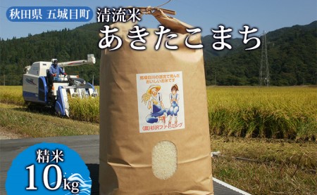 「 悠紀の国 」 五城目町杉沢産　清流米　あきたこまち10kg（精米） お米 白米 ライス ご飯 ブランド米 銘柄米 お弁当 おにぎり 秋田県産 食卓 産地直送 主食 炭水化物 