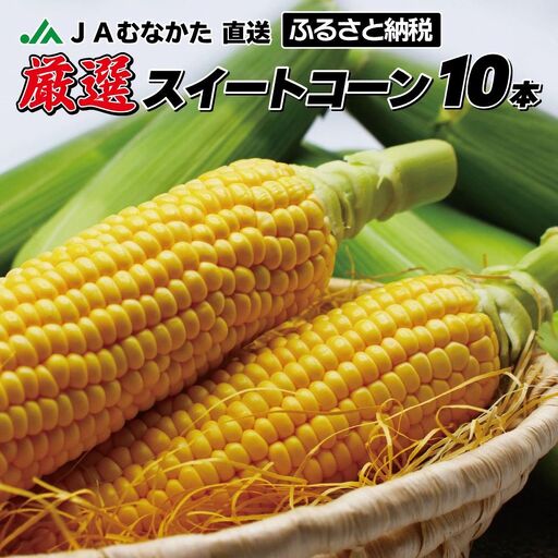 JAむなかた直送「厳選スイートコーン」2Lサイズ以上 10本入り[JAほたるの里]