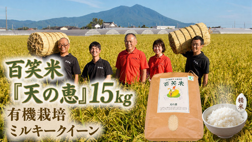【 精米 】 百笑米 「 天の恵 」 有機栽培 ミルキークイーン 15kg (5kg×3袋) R8年産 新米 米 コメ 茨城県 単一米