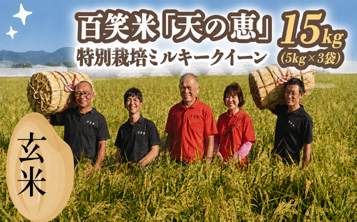 【 玄米 】 百笑米 「 天の恵 」 有機栽培 ミルキークイーン 15kg (5kg×3袋) R8年産 新米 米 コメ 茨城県 単一米