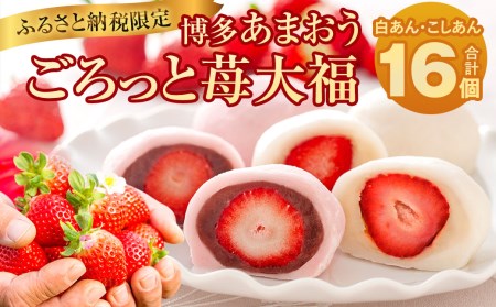 【2023年1月上旬より順次発送】【ふるさと納税限定】博多あまおう ごろっと苺大福 計16個 イチゴ 和菓子 大福 贈答