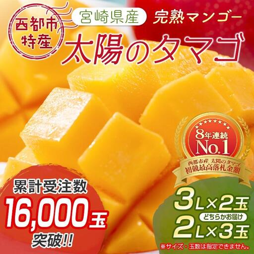 [先行予約]2027年発送 最高級ブランド『太陽のタマゴ』3Lサイズ2個or2Lサイズ3個[糖度15度以上]宮崎県西都市産完熟マンゴー[18-10a]