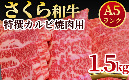 A5さくら和牛特撰カルビ焼肉用1.5kg 肉 焼肉 国産牛 グルメ 送料無料 ※着日指定不可◇