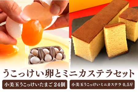 小美玉ミニカステラとうこっけい卵24個(20+補償4個)セット カステラ かすてら 烏骨鶏 卵 うこっけい 鶏卵 高級 高級 国産 ギフト スイーツ 焼菓子 御贈答 お返し たまご 玉子 烏骨鶏の 安全 マニアさん 健康 美容 卵焼き かけごはん TKG 37-N