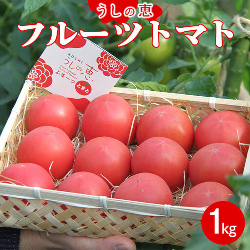 【先行受付】野菜ソムリエが育てた フルーツトマト籠入り 1kg【野菜 やさい 野菜 やさい 野菜 やさい 野菜】 mj-0035