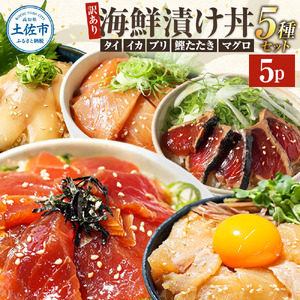 【訳あり】海鮮丼5種セット 各1P  海鮮丼[BQAB001]