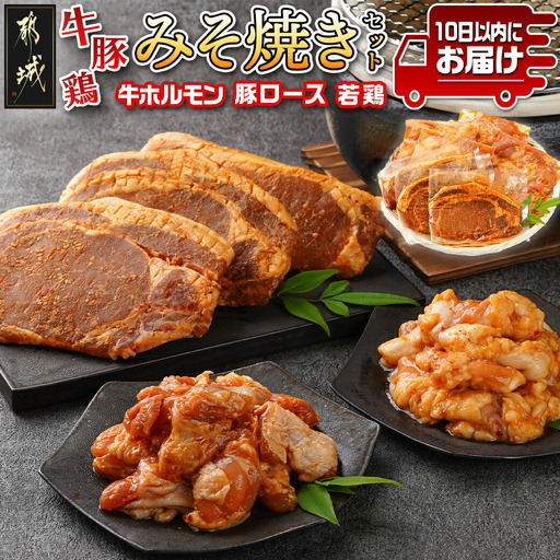 牛・豚・鶏ももみそ焼きセット(牛ホルモン・豚ロース・若鶏もも)≪みやこんじょ特急便≫〔AA-I601-Q〕_(都城市) 国産 真空 牛ホルモンみそ焼き用 豚ロース肉みそステーキ用 若鶏みそ焼き用