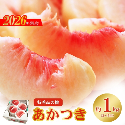 No.2434もも「あかつき」特秀品約1kg[2026年発送]