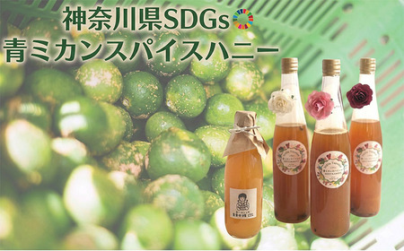 神奈川県SDGs 青ミカンスパイスハニー　ワインと割ってお手軽爽やかなサングリア【平塚市・逗子市　共通返礼品】 果汁飲料 みかんジュース 果汁100％ ソーダ割り お湯割 