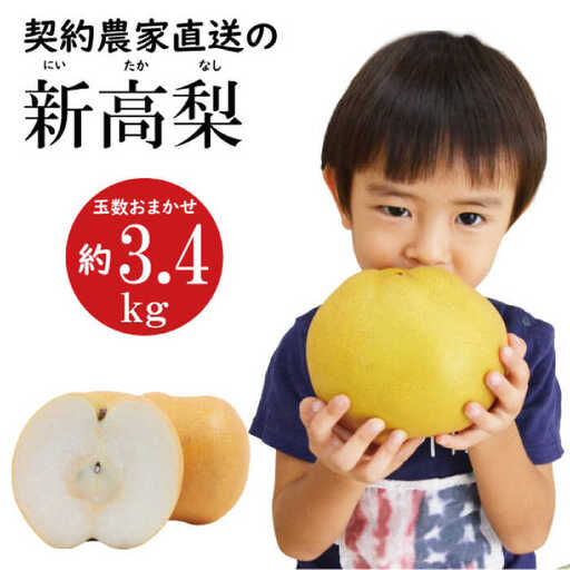 【2026年9月中旬?発送】【シャリッとおいしい！】新高梨 約3.4kg / 梨 なし  南島原市 / ふるさと企画 [SBA030]