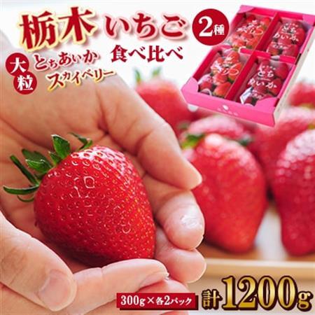 豪華!栃木イチゴ2種(スカイベリー・とちあいか)大粒 食べ比べセット (300g×4パック)_いちご 苺 フルーツ 果物 くだもの スカイベリー とちあいか 栃木 2種 セット 人気 おすすめ 送料無料 ギフト 贈答 食べ比べ_【配送不可地域：離島・沖縄県】【1366949】