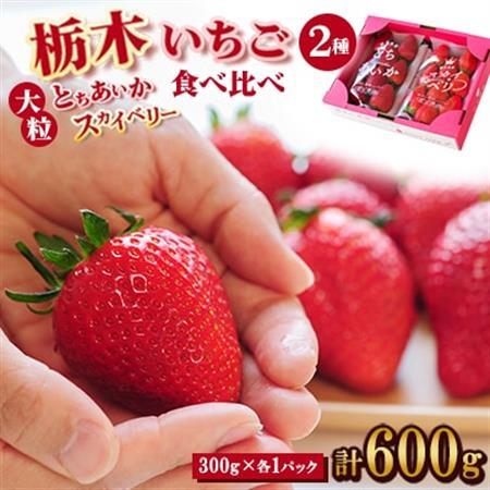 豪華!栃木イチゴ2種(スカイベリー・とちあいか)大粒 食べ比べセット(300g×2パック)_いちご 苺 果物 フルーツ くだもの スカイベリー とちあいか 大粒 食べ比べ セット 人気 おすすめ 送料無料 贈答 ギフト_【配送不可地域：離島・沖縄県】【1366974】