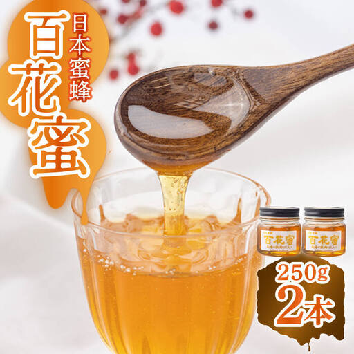 日本蜜蜂 百花蜜 250g×2本 [ECD002]