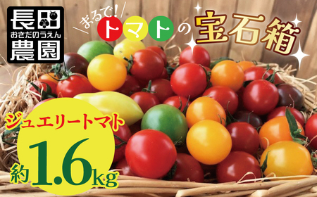 [先行受付]2026年11月から発送 まるでトマトの宝石箱!フルーツジュエリートマト約1.6kg 長田農園 産地直送 トマト とまと 野菜 やさい フルーツ サラダ 濃厚 甘い ご褒美 プレゼント 美容 健康 リピート多数 人気 高評価 先行受付 数量限定 碧南市 H004-203_Nov