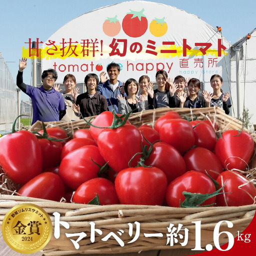 [先行受付]甘さ抜群!トマト嫌いでも食べられるトマトベリー 約1.6kg 野菜ソムリエサミット 金賞 受賞 長田農園 産地直送 とまと 野菜 やさい フルーツ サラダ 濃厚 甘い ご褒美 プレゼント 美容 健康 リピート多数 人気 高評価 先行受付 数量限定 碧南市 H004-179_Nov H004-179_Nov