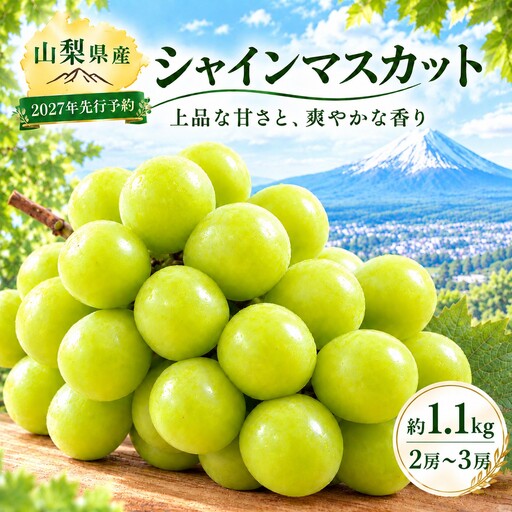 シャインマスカット 約1.1Kg（２~3房）【2027年発送】　シャインマスカット フルーツ