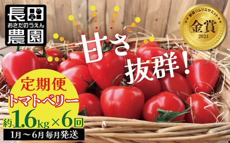 【先行受付】2027年1月～6月毎月発送　幻のミニトマト　トマトベリーの定期便　6回コース 野菜ソムリエサミット 金賞 受賞 長田農園 産地直送 トマト とまと 野菜 やさい フルーツ サラダ 濃厚 甘い ご褒美 プレゼント 美容 健康 リピート多数 人気 高評価 数量限定 碧南市 H004-188