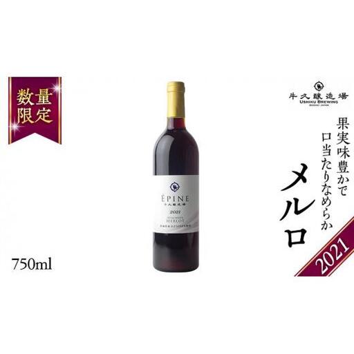 【 数量限定 】エピヌ メルロ 2021 茨城県産 牛久醸造場 日本ワイン 赤ワイン 750ml × 1本 やや辛口 ミディアムボディ お酒 贈り物 ラズベリー