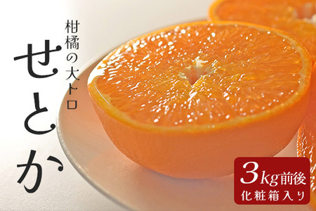 せとか 約3kg 贈答用 高知県産 ハウス栽培