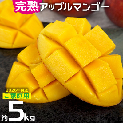 マンゴー[2026年発送]ご家庭用でも極上に美味しい完熟アップルマンゴー約5kg 農園直送! 家庭用