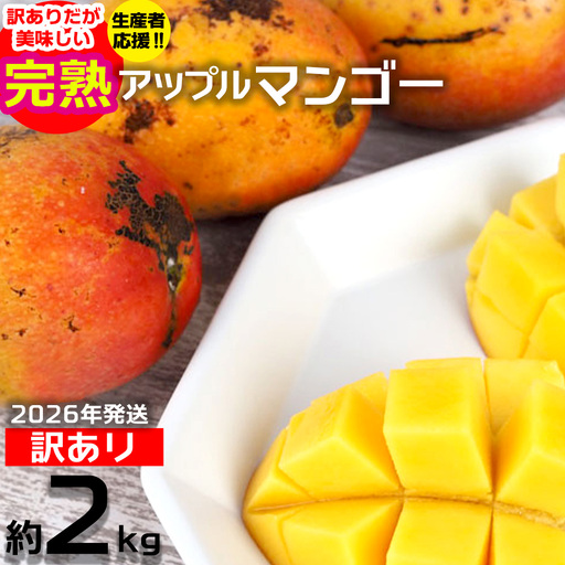 マンゴー【2026年発送】生産者応援！！訳あり完熟アップルマンゴー約2kg