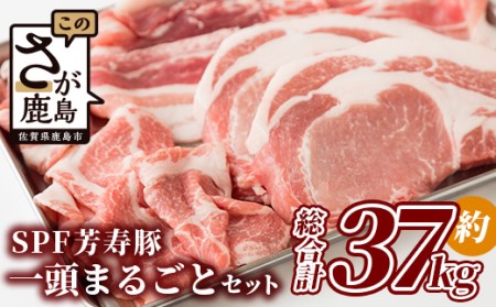 [総重量 約37kg]SPF芳寿豚1頭まるごとセット(分割発送可能)[用途はあなた次第!! 贅沢にまるまる1頭味わい尽くしちゃってください!!]X-2