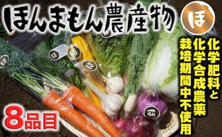 化学合成農薬等不使用で栽培！安心安全な「ほんまもん野菜」を8品目お届け♪　新鮮　旬の野菜　詰め合わせ