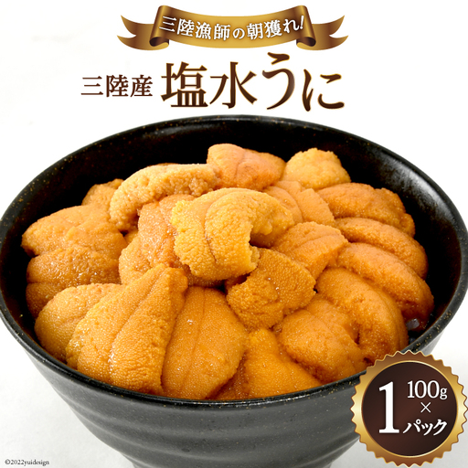 【期間限定発送】三陸産塩水うに 100g×1パック  うに 雲丹