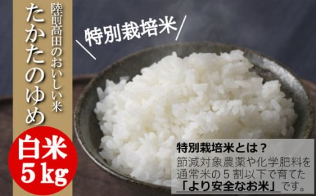 令和6年産 特別栽培米 白米 5kg 〈 品種：たかたのゆめ 〉【 オリジナル ブランド米 冷めてもおいしい お弁当 おにぎり ギフト 】RT1746-R6