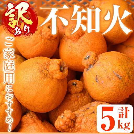 ＜先行予約受付中！2027年2月以降順次発送予定＞＜訳あり・不揃いの為＞数量限定！無加温ハウス不知火(5kg) 国産 鹿児島県 阿久根市 果実果物 フルーツ 柑橘 みかん ミカン 期間限定 数量限定【桐野柑橘株式会社】akn070-12