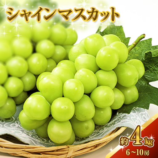 シャインマスカット ぶどう 皮ごと 岡山県産 シャインマスカット【約4kg】【先行予約】