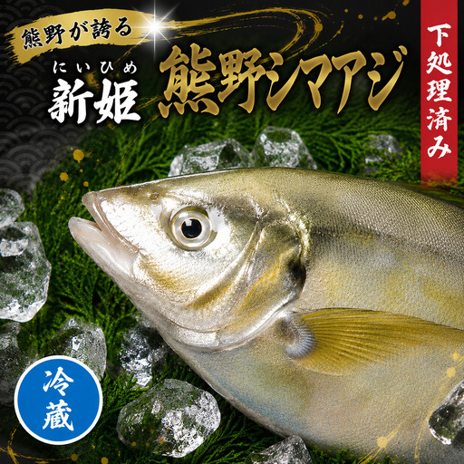 [配送日指定可] アジ 新姫熊野しまあじ 1匹 下処理済み[冷蔵][mzsi0004-1]