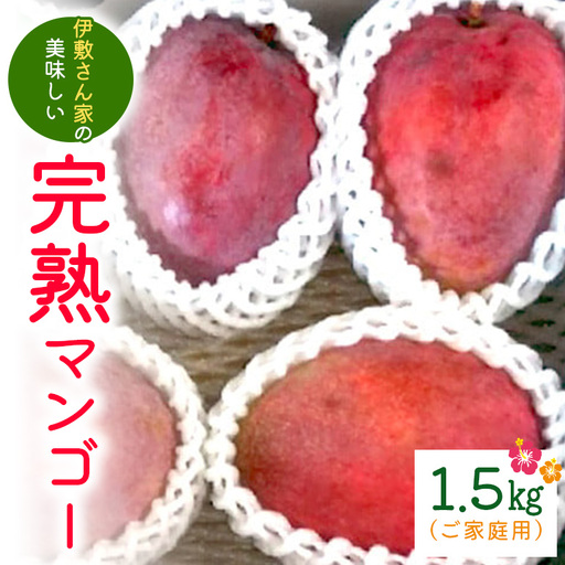[ 先行予約 2026年 発送 ] 伊敷さん家の美味しい 完熟マンゴー 1.5kg ( ご家庭用 ) マンゴー 沖縄県産 アップルマンゴー アーウィン 果物 南国 くだもの フルーツ 完熟 夏 旬 沖縄 産地直送 農家直送 家庭用 糸満市 41-2