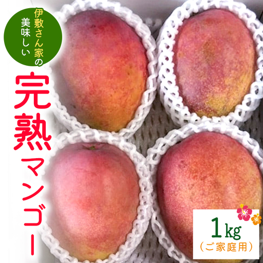【 先行予約 2026年 発送 】 伊敷さん家の美味しい 完熟マンゴー 1kg ( ご家庭用 ) 沖縄県産 マンゴー アップルマンゴー アーウィンマンゴー 1キロ 国産 果物 くだもの フルーツ 完熟 夏 旬 沖縄 お取り寄せ 産地直送 農家直送 甘い 濃厚 糸満市 41-3