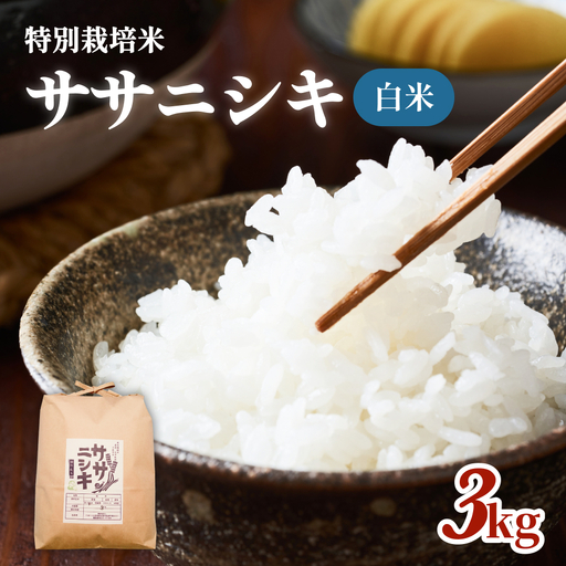 特別栽培米 ササニシキ 白米 3kg