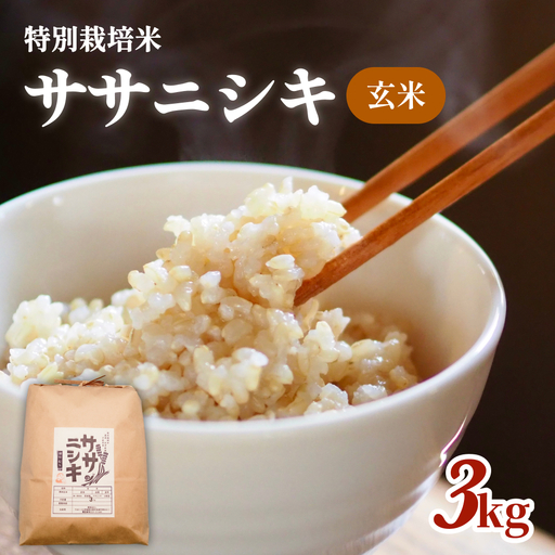 特別栽培米 ササニシキ 玄米 3kg