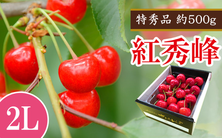 [令和9年産先行予約] さくらんぼ 「紅秀峰」 約500g (特秀 2L) [令和9年6月下旬〜発送] 『マルエ青果』 先行予約 サクランボ 果物 フルーツ 山形県 南陽市 [1406]