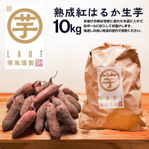 【先行予約】 12月以降発送 さつまいも 熟成 紅はるか 芋 10kg _CE005