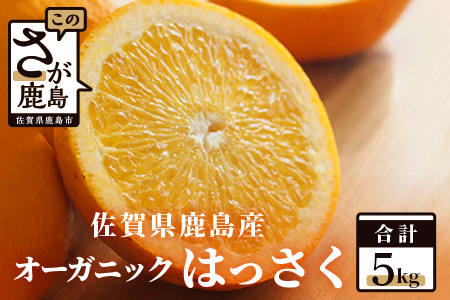  オーガニック はっさく 八朔 佐賀県 鹿島産 ５ｋｇ  B-75