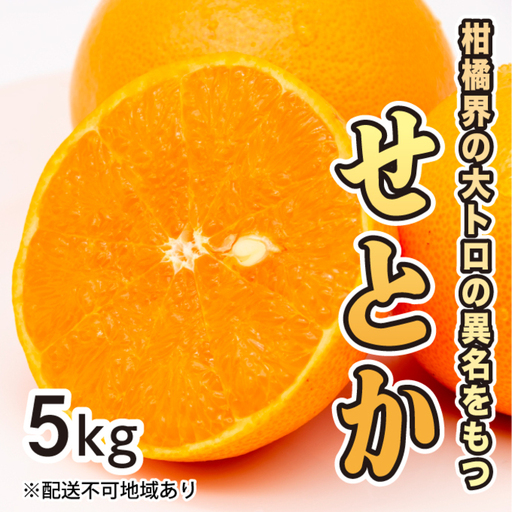 みかん 柑橘【先行受付】【2027年2月下旬以降発送】果汁たっぷり甘さに満足 柑橘の大トロせとか ＜5kg＞ 広島 三原 佐木島 鷺島みかんじま 017021