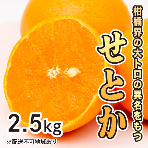 みかん 柑橘[先行受付][2027年2月下旬以降発送]果汁たっぷり甘さに満足 柑橘の大トロせとか [2.5kg] 広島 三原 佐木島 鷺島みかんじま 017020