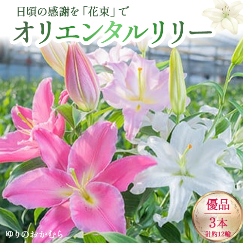 日頃の感謝を「花束」で、オリエンタルリリー【優品3本】／Osy-B13  誕生日 植物 フラワー プレゼント 花束 ゆり リリー お花