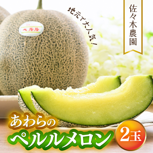 【先行予約】ペルルメロン 3L 2玉入（1.7kg以上×2玉）糖度16度以上！／ 1株1果 大玉 青肉 メロン 果物 フルーツ ギフト 農家直送 ※2027年6月下旬より順次発送 [aw045-a003]