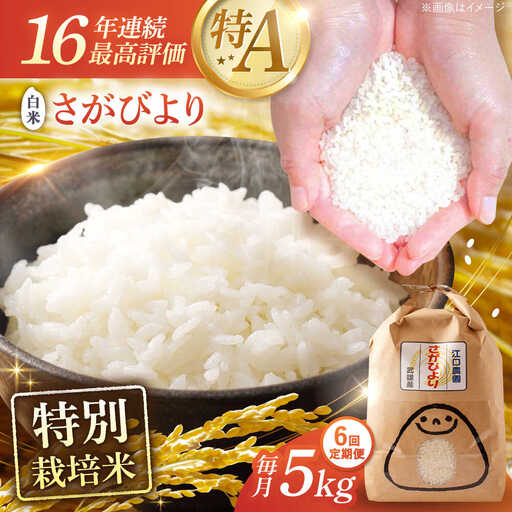 【6回定期便】さがびより 白米 5kg 配送前精米/江口農園 [UBF007] さがびより 白米 米 お米 精米 佐賀県産 特A