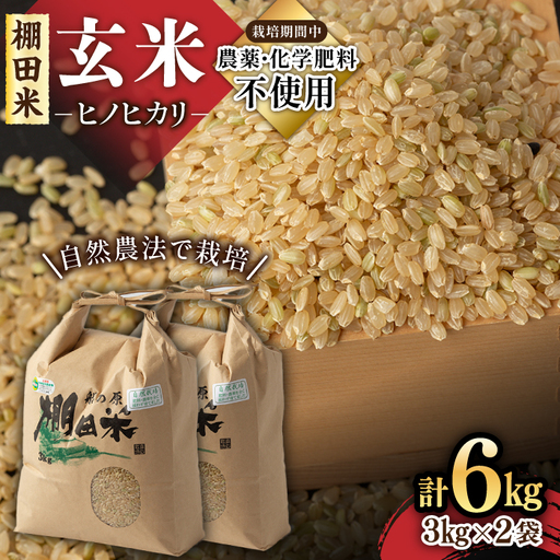 玄米 特別栽培米 ヒノヒカリ玄米 6kg /永尾 忠則 [UAS006] 